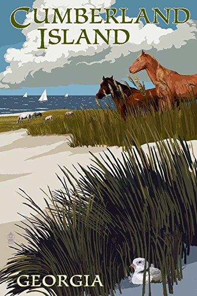 Cumberland Island, Georgia - Horses and Dunes with Boats (36x54 Giclee Gallery Print, Wall Decor Travel Poster)