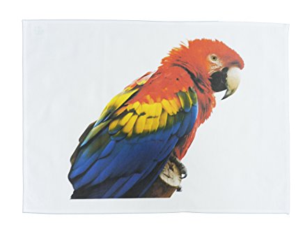 The Multi-Coloured Macaw Bird - Large Cotton Tea Towel from Half a Donkey